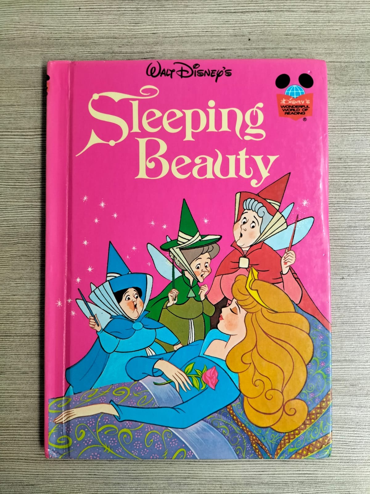 Sleeping Beauty (Pre-loved Book)