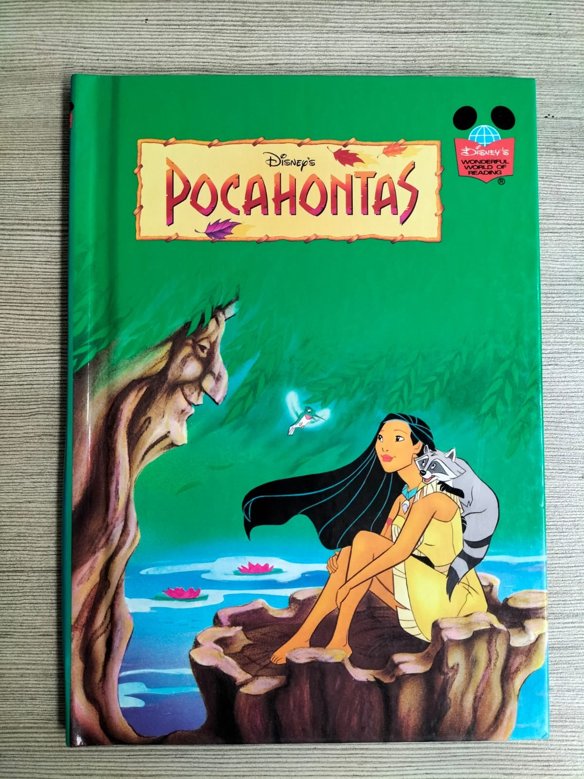 Pocahontas (Pre-loved Book)