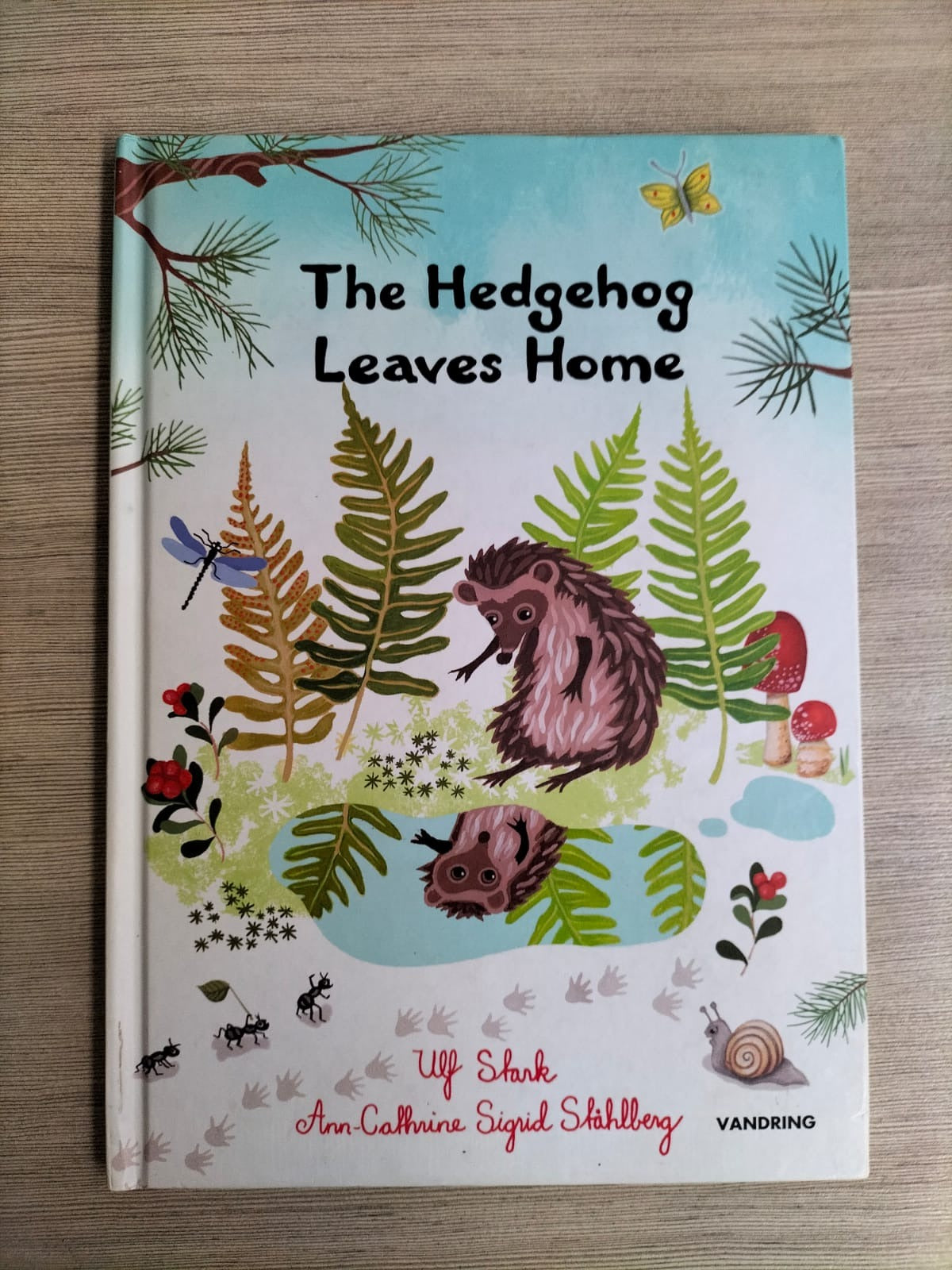 The Hedgehog Leaves Home (Pre-loved Book)