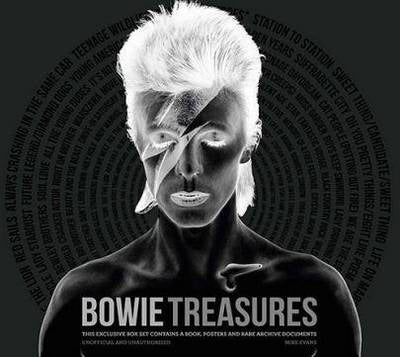 Bowie Treasures coffe table books at Chapters online bookstore in Pakistan