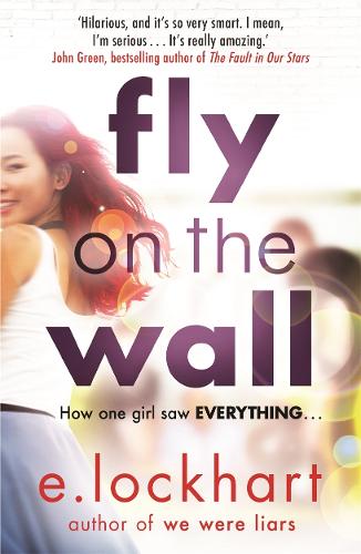 Fly on the Wall (Paperback)